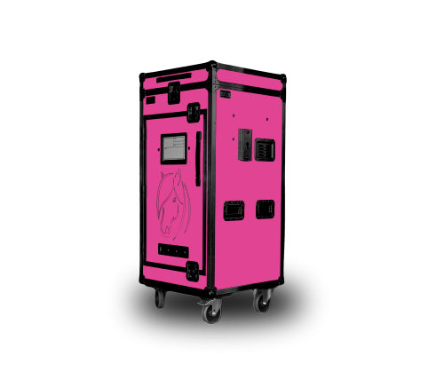 Paka jeździecka Junior Rider - Radosny róż | Cavlux; Saddle box Junior Rider  - Pink Blossom | Cavlux; Sattelschrank Junior Rider  - Rosenrosa | Cavlux