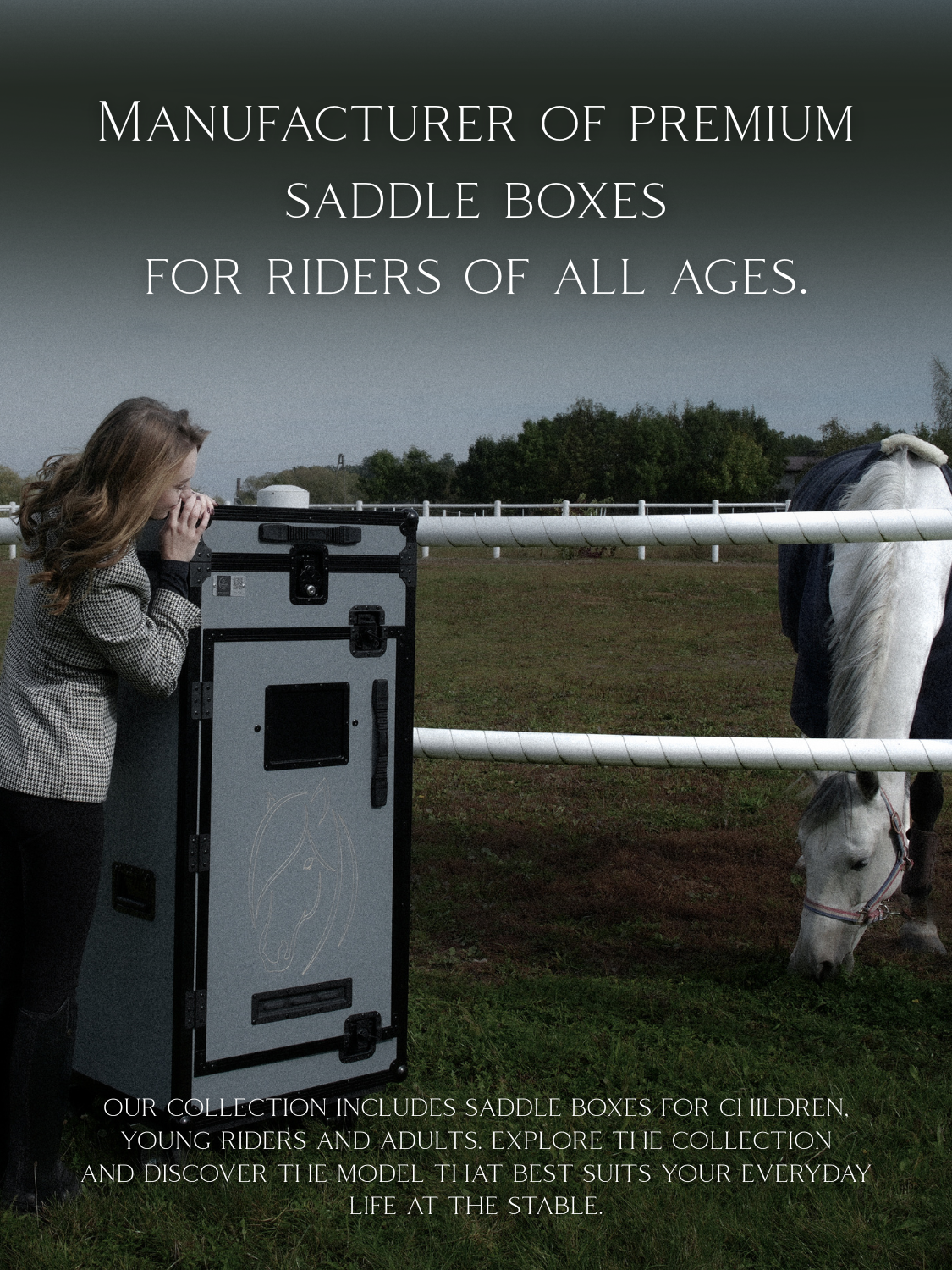 Cavlux | Saddle boxes