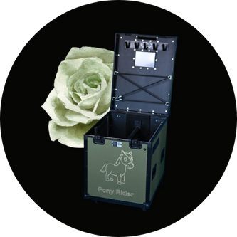 Saddle boxes Pony Rider | Cavlux